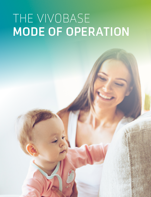 The VIVOBASE Mode of Operation