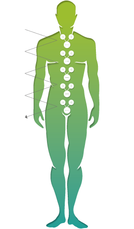 With VIVOBASE protection