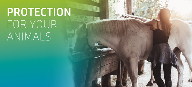 VIVOBASE ANIMAL – Protection for your animals