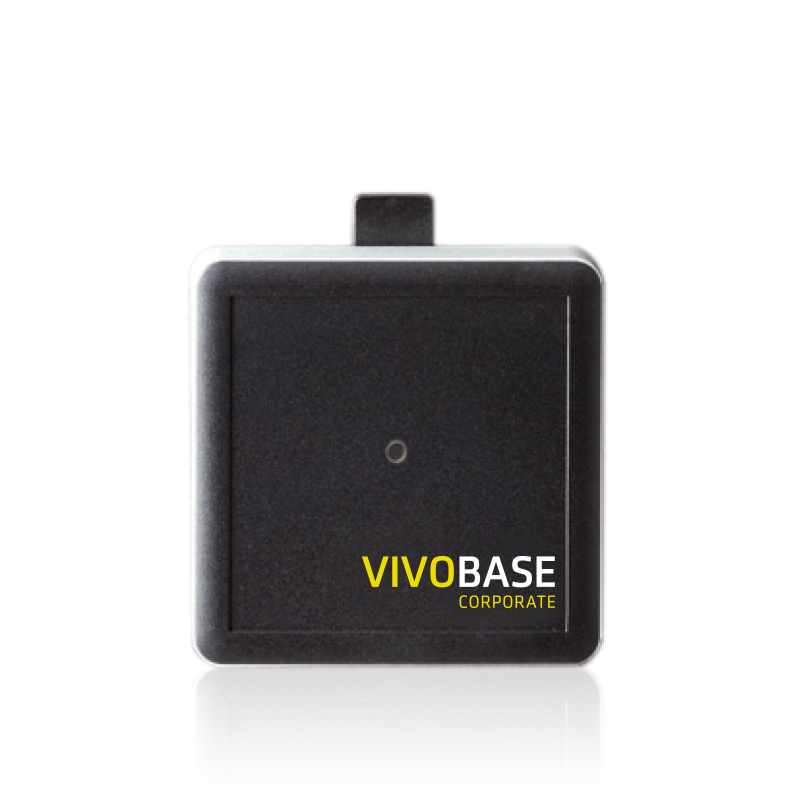 VIVOBASE CORPORATE VIVOBASE CORPORATE